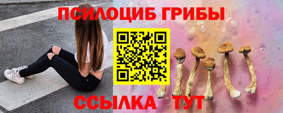 Нурлат  Галлюциногенные грибы Psilocybe  Вход с VPN 
