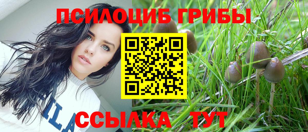 Галлюциногенные грибы GOLDEN TEACHER Нурлат